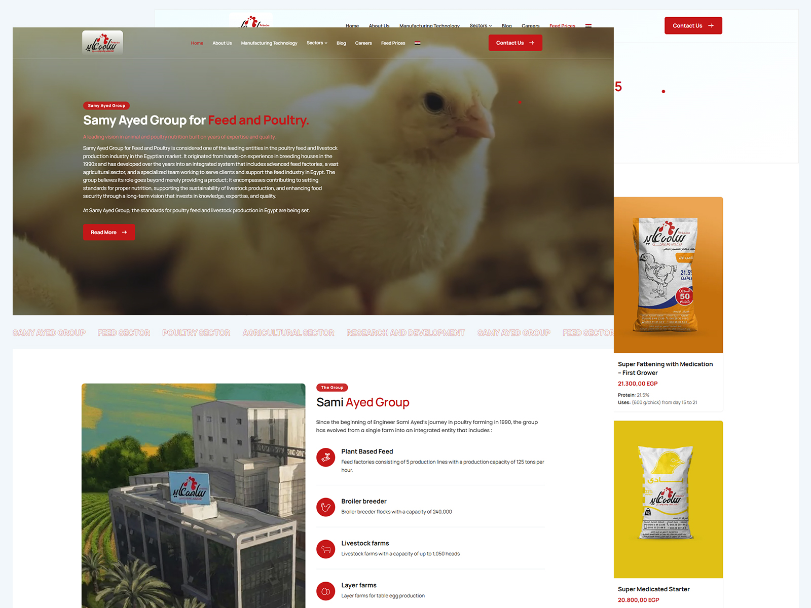 Samy Ayed Group Website Design, UI/UX & Development