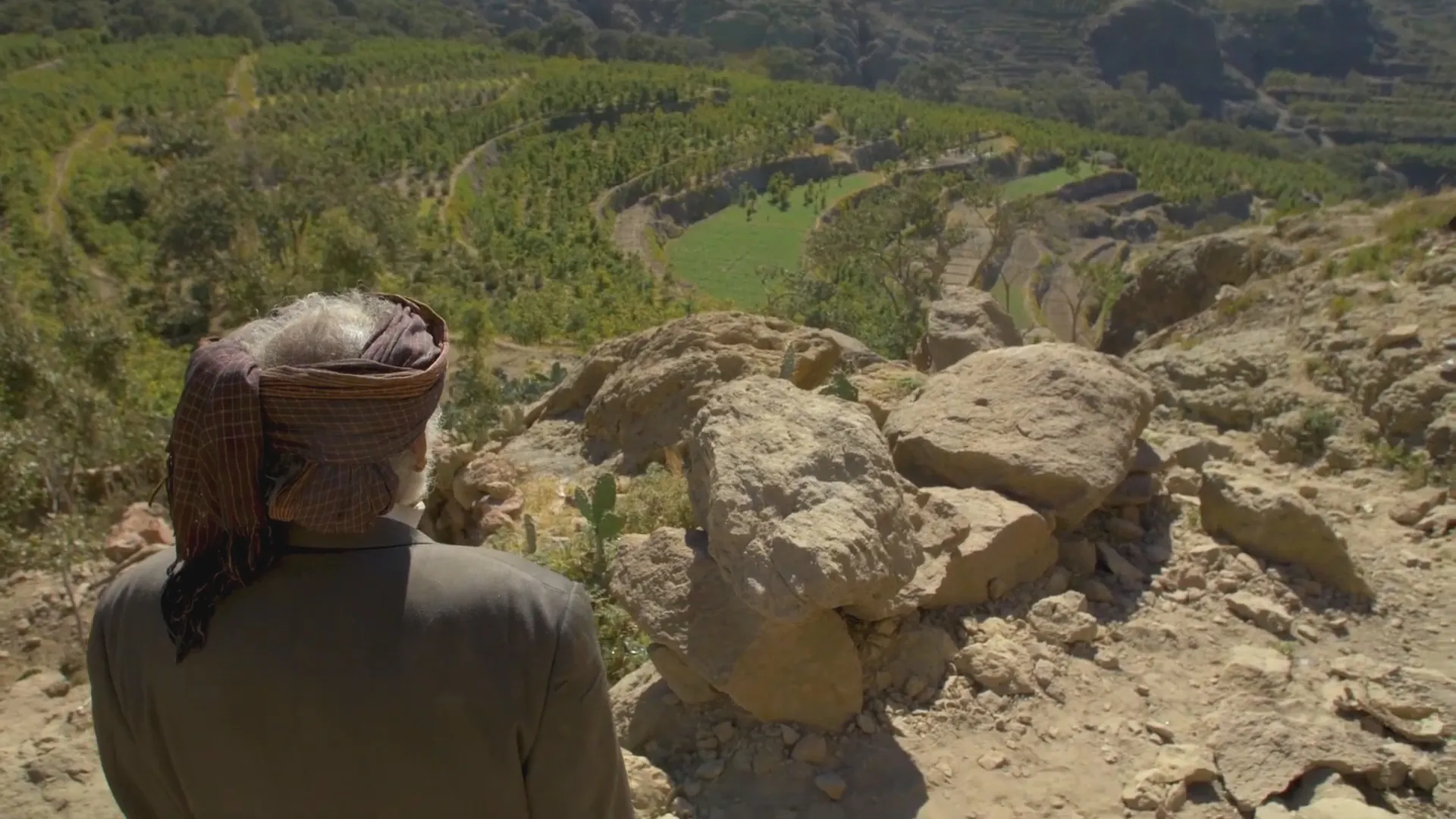 Coffee E-commerce Website Design Case Study – WordPress UI UX & WooCommerce Development